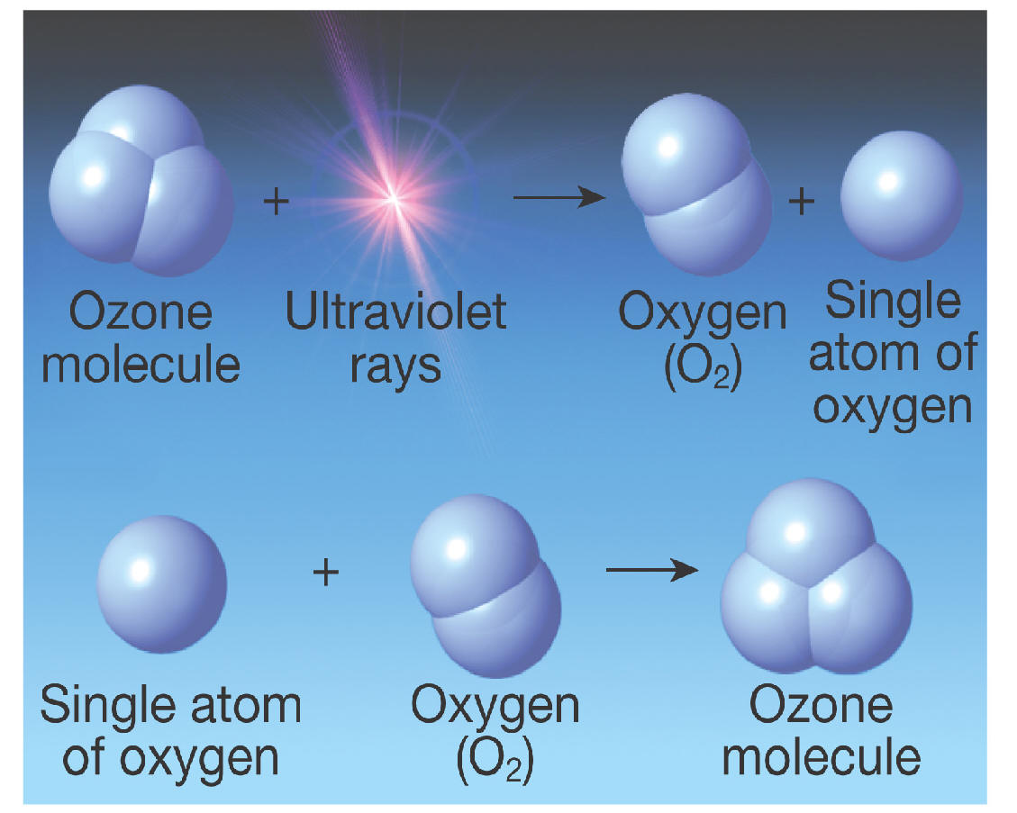 Ozone effect Alpine Air Technologies Blog