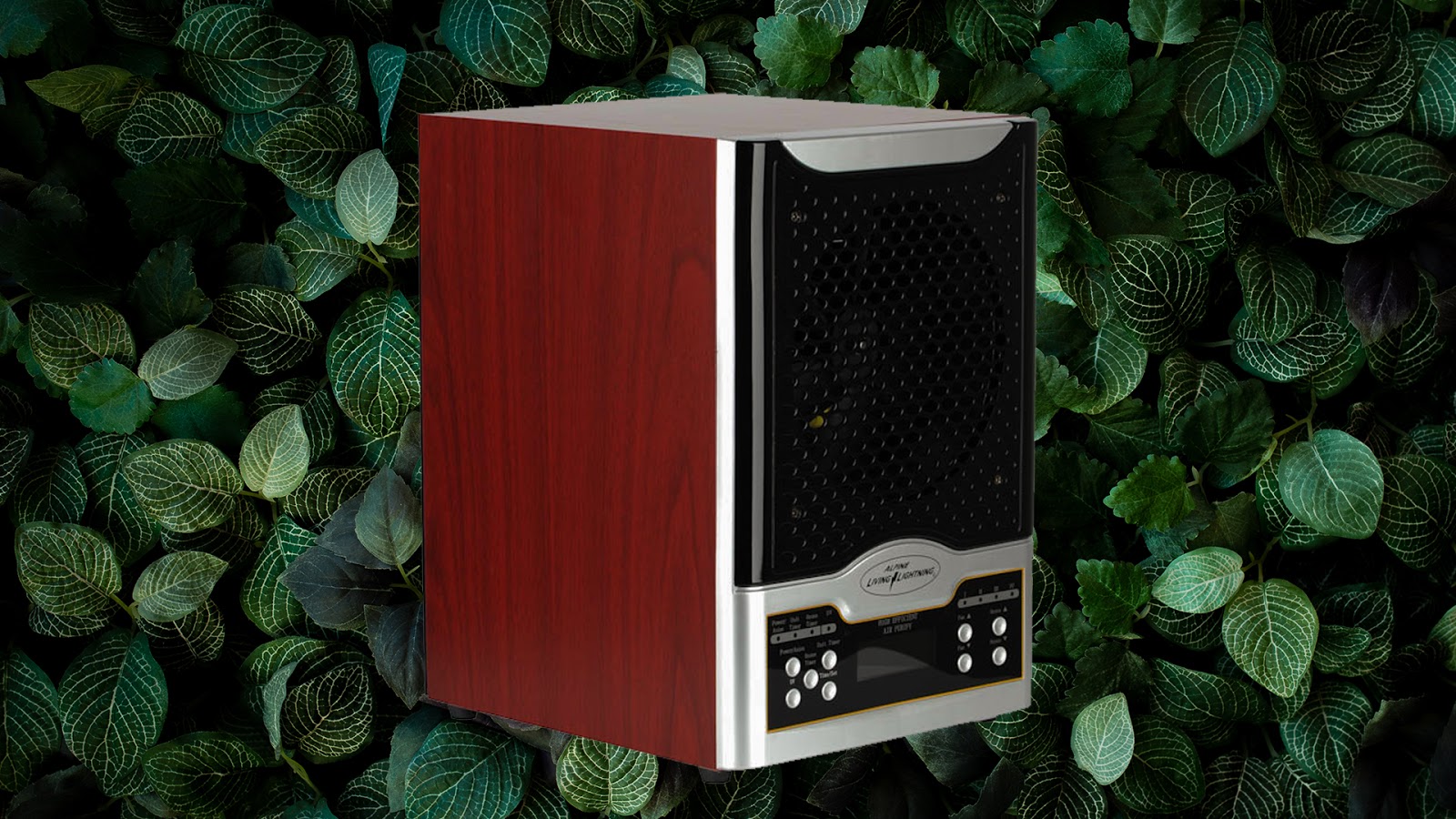 Alpine Air Purifier Repair Service: Professional Maintenance to Keep ...